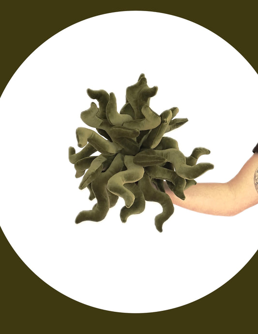 Mesmerizing SEAWEED BALL